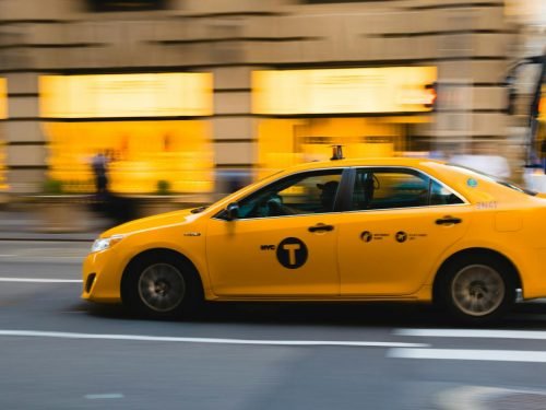 taxi-pets